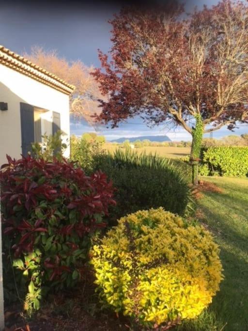 Sejour En Provence Maison Avec Vue Sur La Sainte Victoire Et Piscine Pres D'Aix En Provence 普罗旺斯地区艾克斯 外观 照片